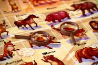 Zoology animals