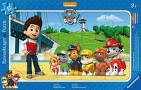 Paw Patrol boîte