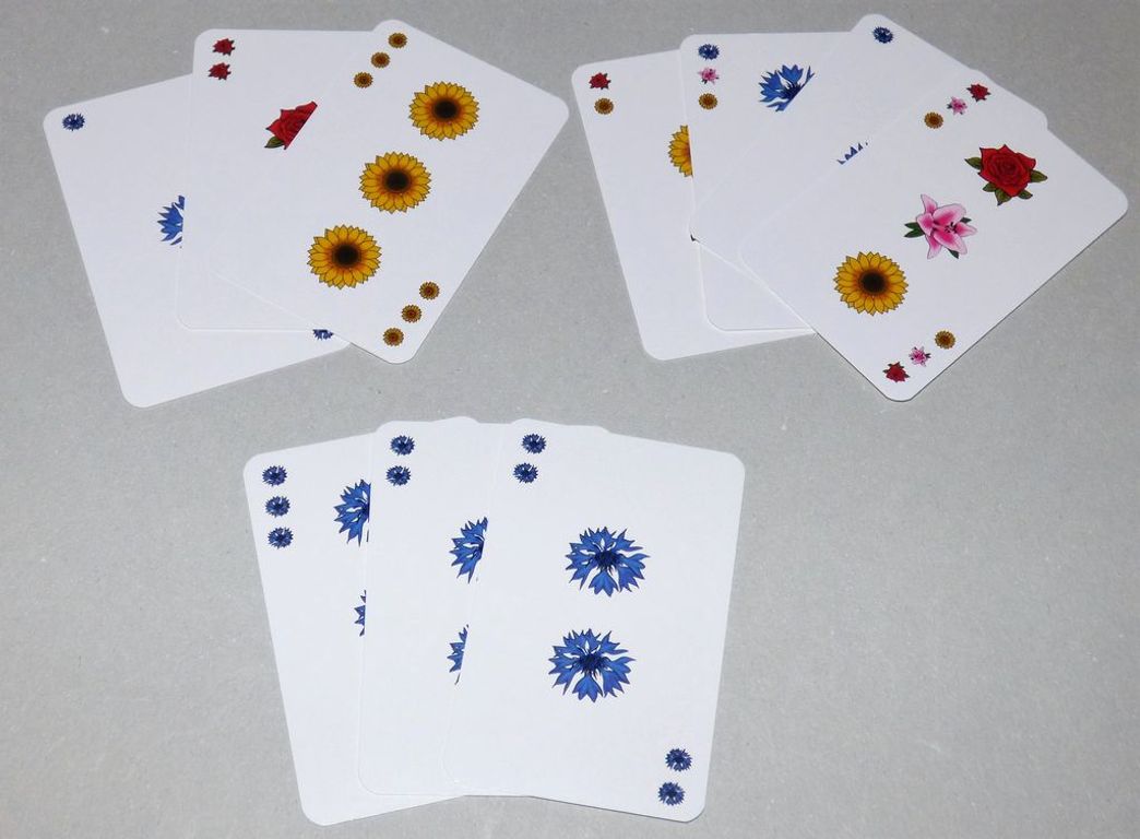 Floris cards