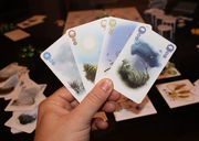 Petrichor cards