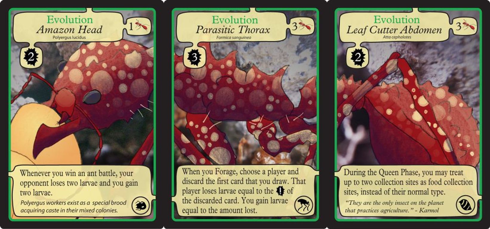 March of the Ants cartes