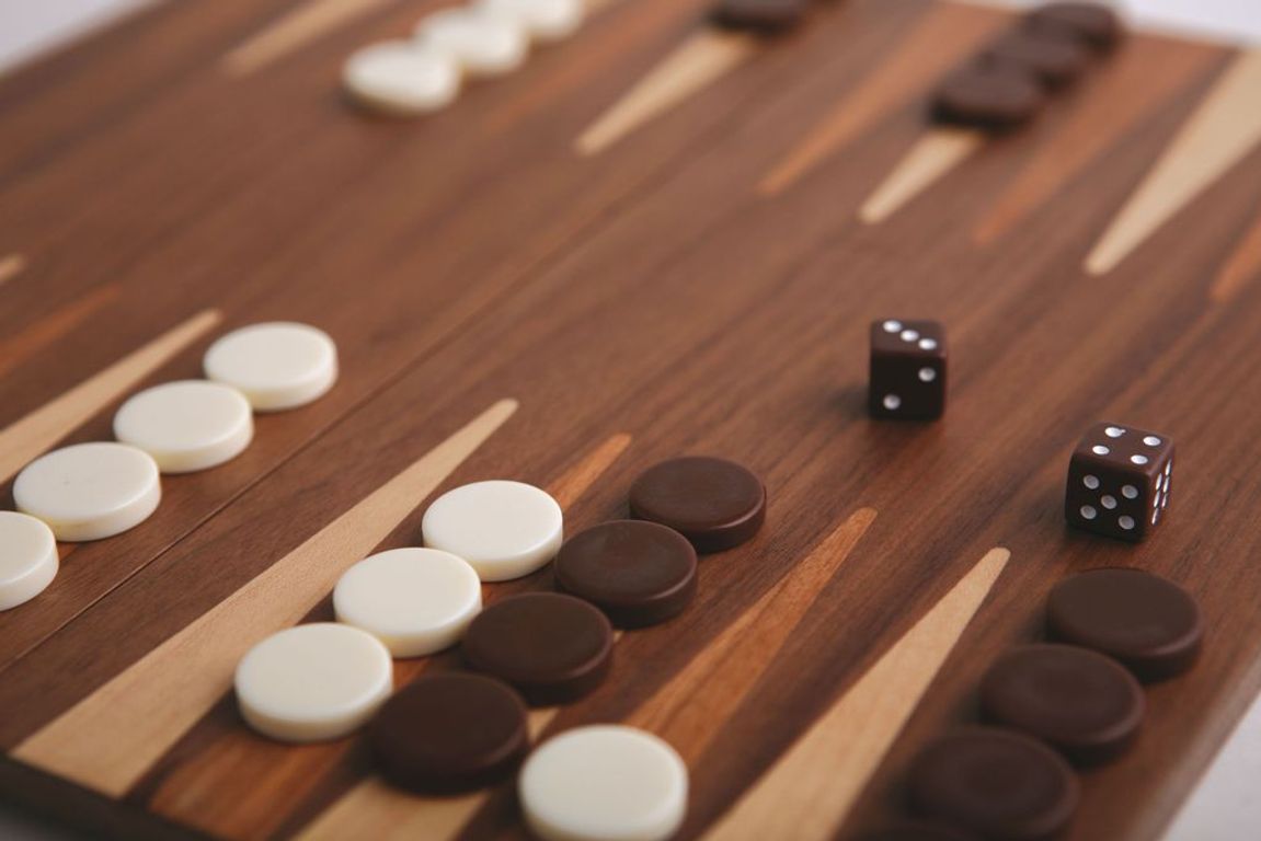 Backgammon componenten