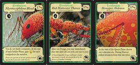 March of the Ants cards