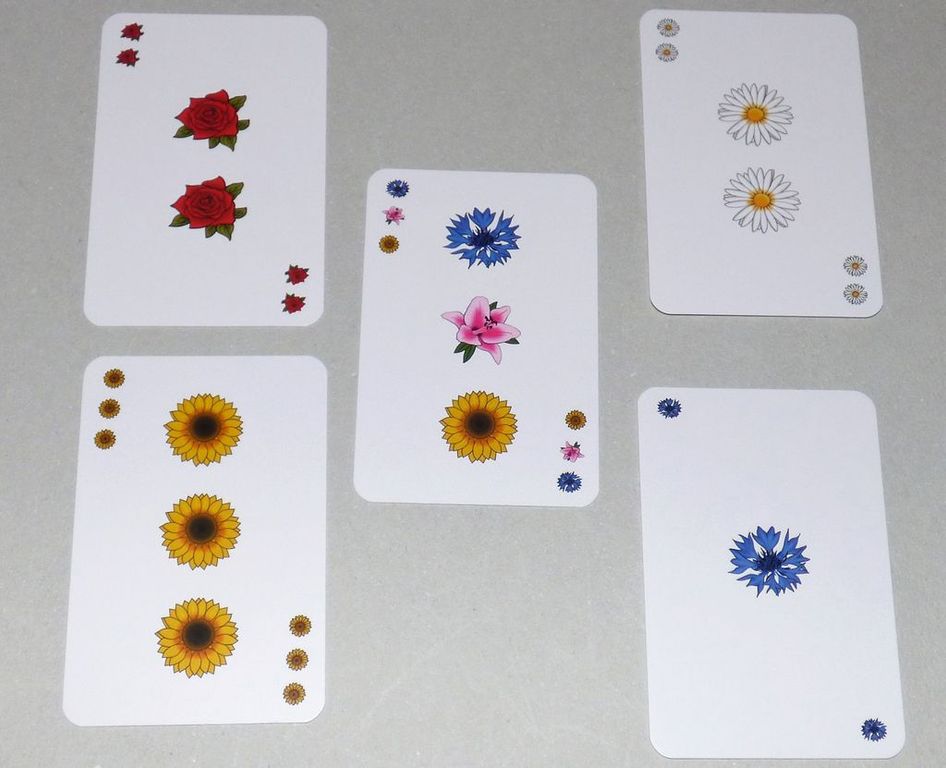 Floris cards