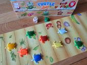 Turtle Bay partes