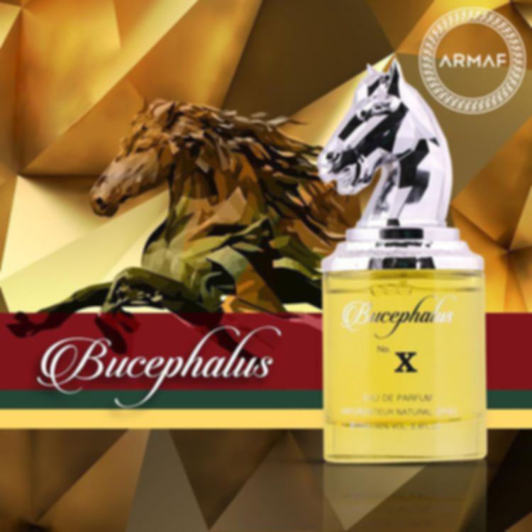 Armaf Bucephalus No. X Eau de parfum