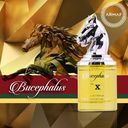 Armaf Bucephalus No. X Eau de parfum