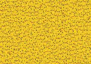 Pokémon Pikachu Challenge