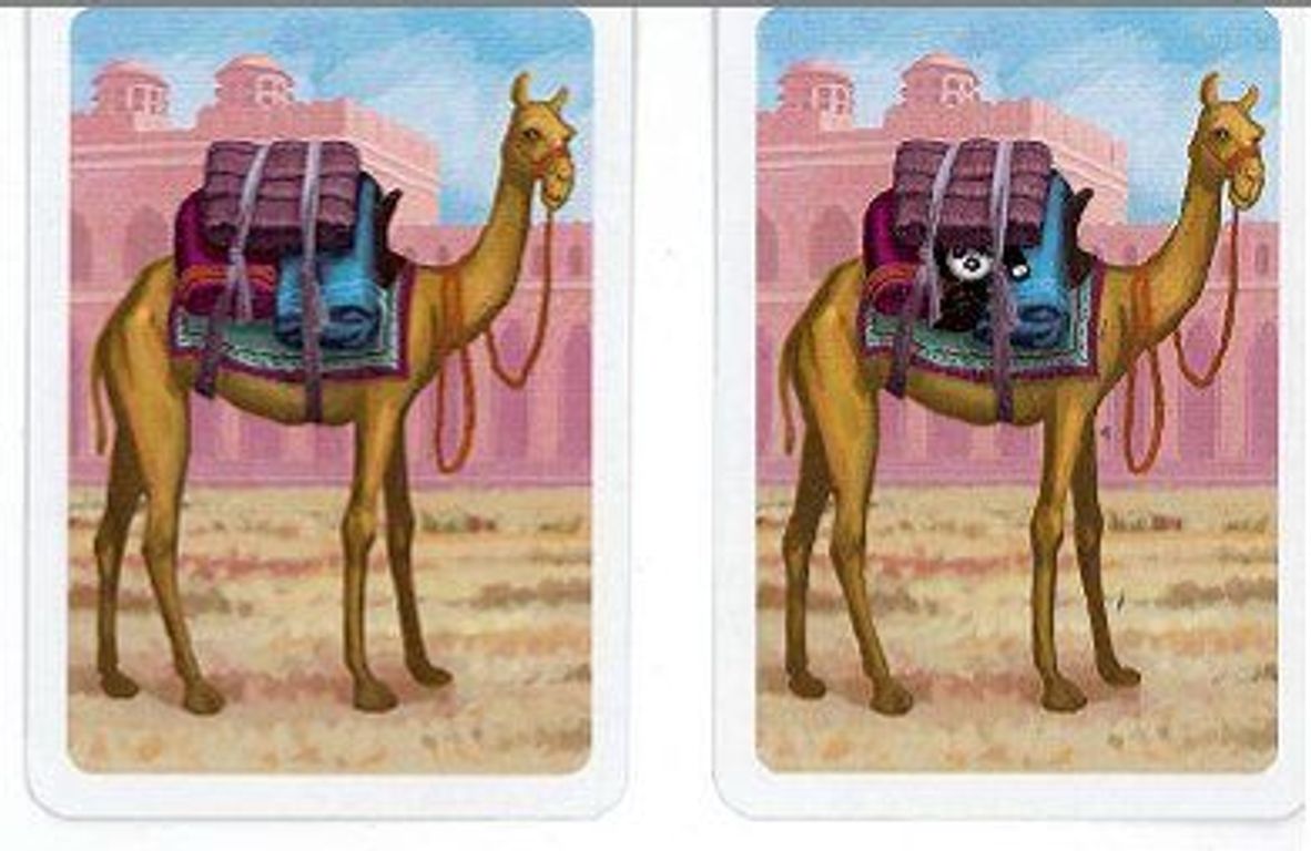 Jaipur cartes