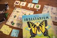 Insectarium caja