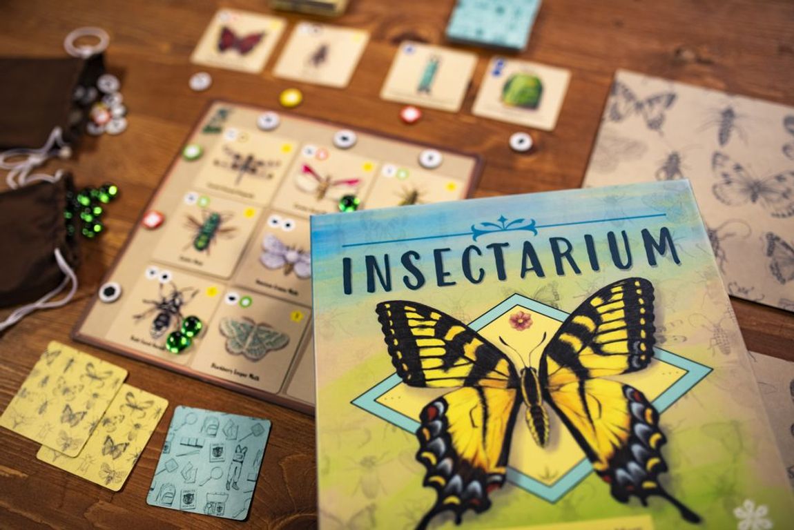 Insectarium caja
