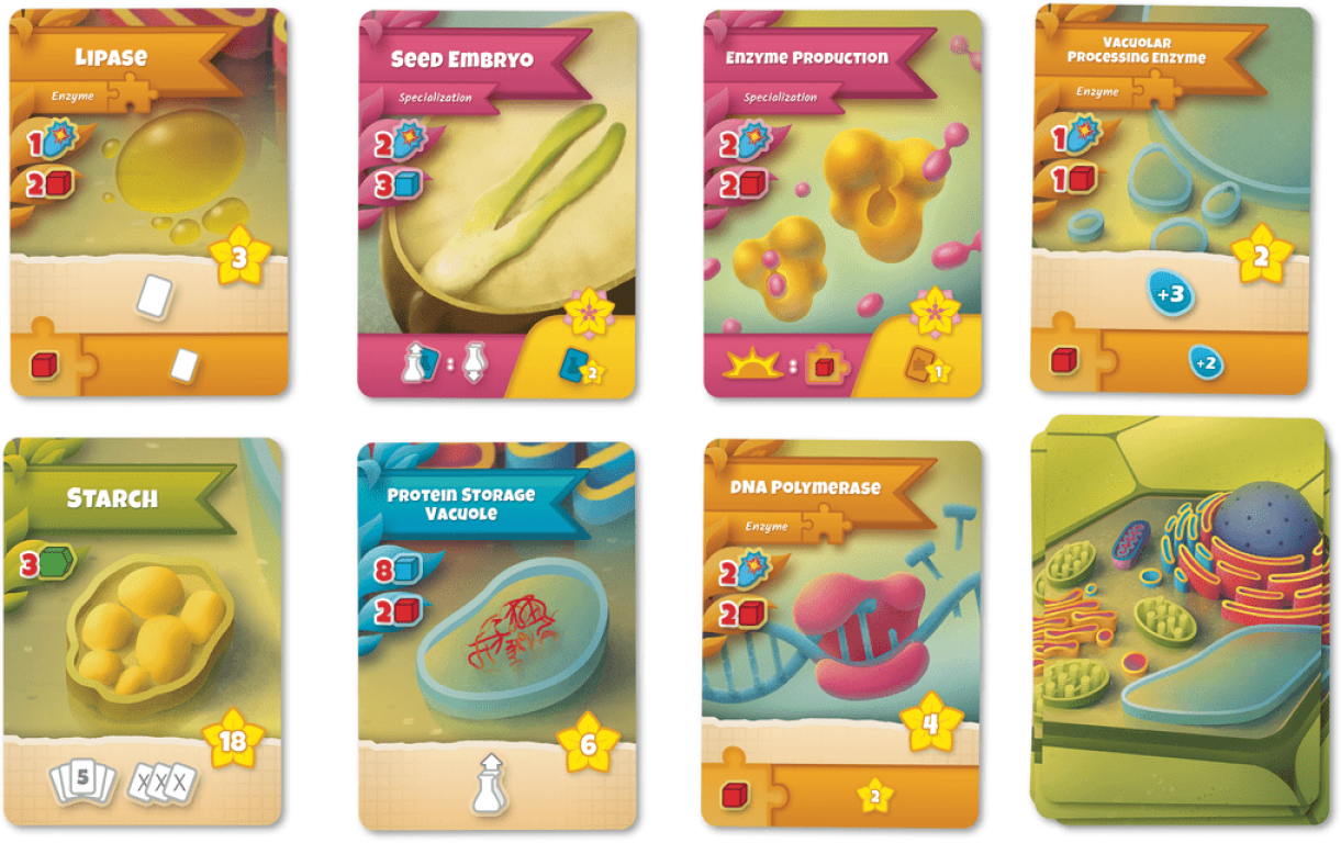 Cellulose: A Plant Cell Biology Game cards
