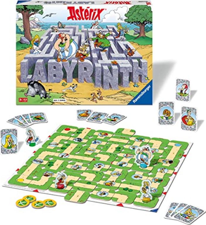 Asterix Labyrinth components