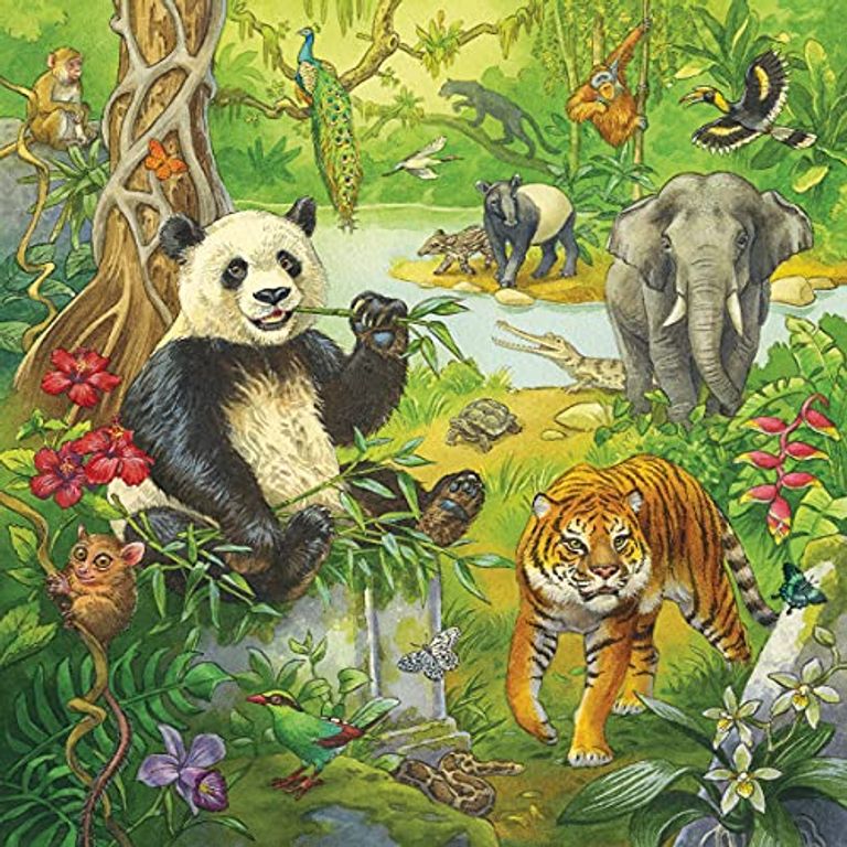 Animaux de la jungle