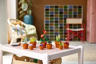 LEGO® Icons Les plantes miniatures