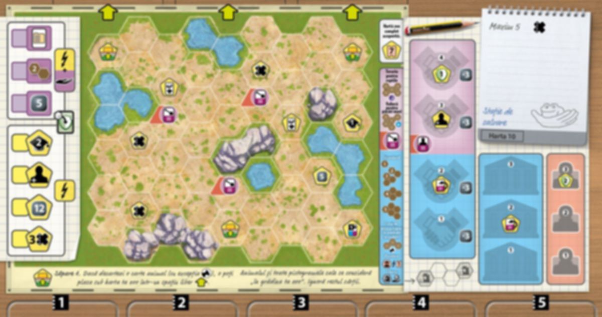 Ark Nova: Zoo Map Pack 1 game board