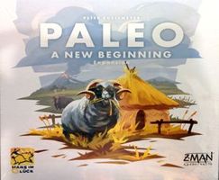 Paleo: A New Beginning