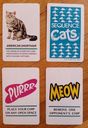 Sequence Cats cartas