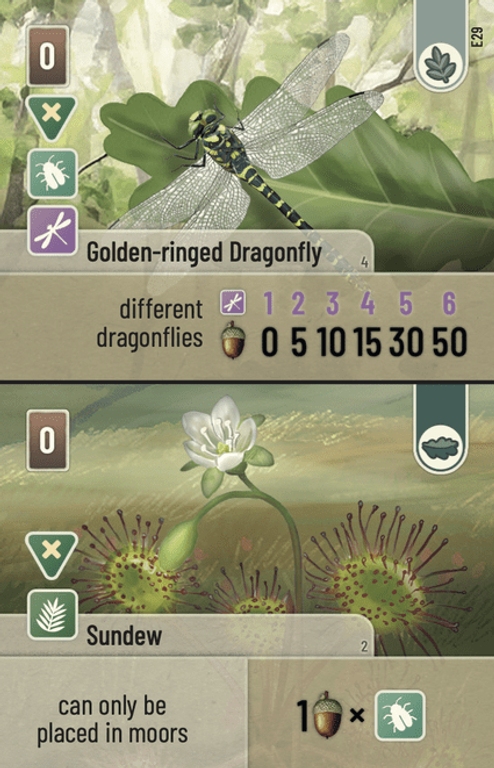 Forest Shuffle: Dartmoor – Exmoor cards