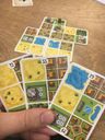 Honshu cards