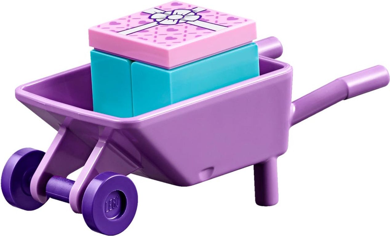 LEGO® Friends Emma's Pet Party components