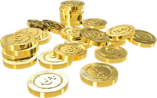 Bear Mountain Camping Adventure: Metal Coins