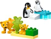 LEGO® DUPLO® Wild Animal Families: Penguins & Lions box