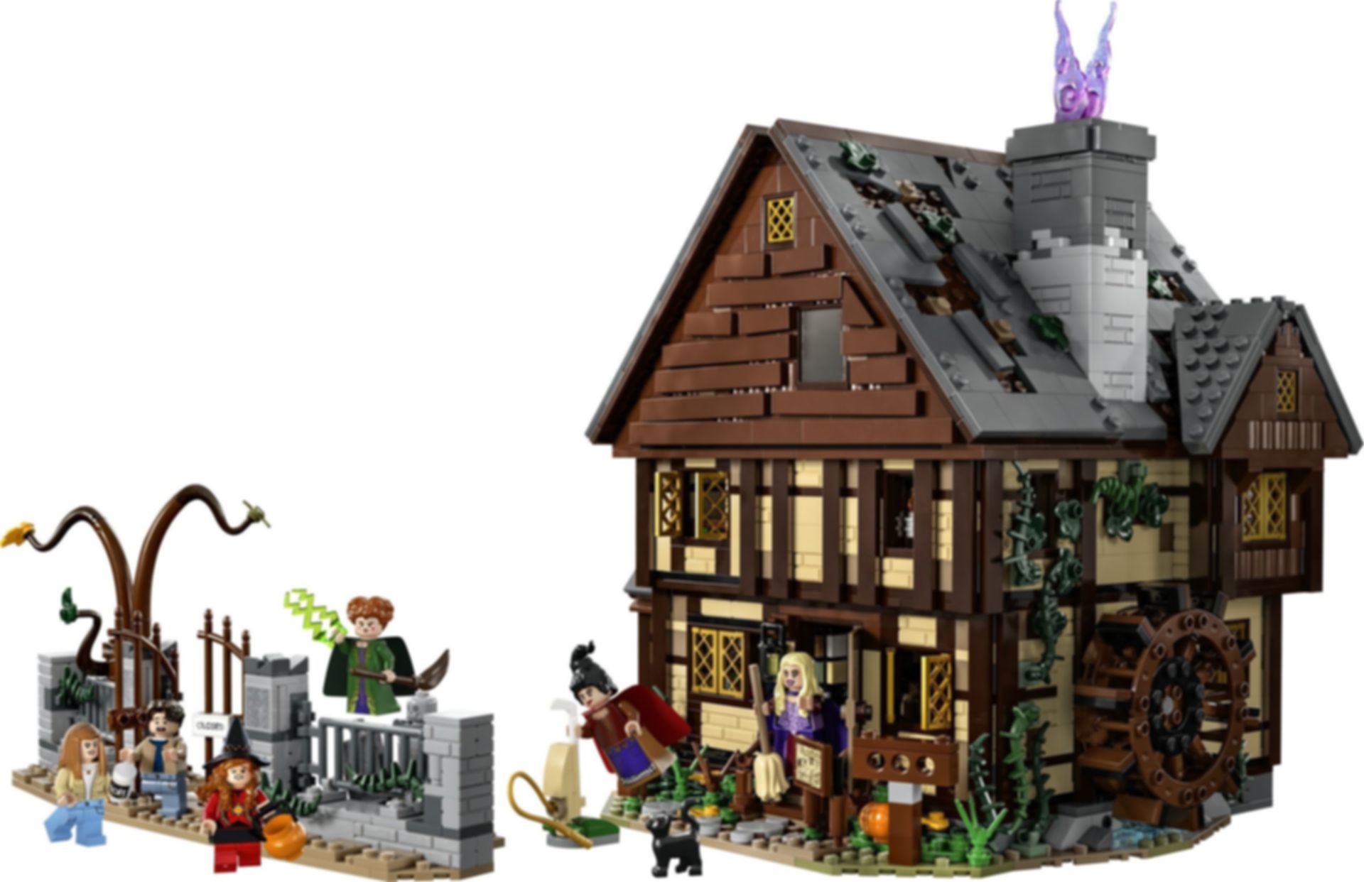 LEGO® Ideas Disney Hocus Pocus: het huisje van de Sanderson-zussen componenten