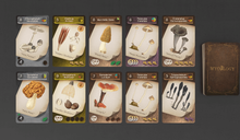 Mycology cards