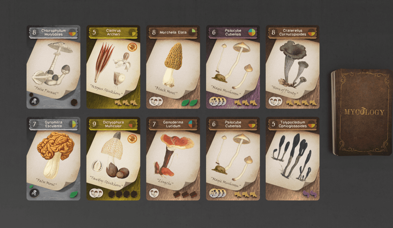 Mycology cards