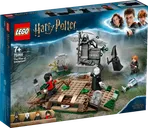 La Résurrection de Voldemort™