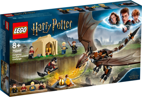 LEGO® Harry Potter™ Magyar à pointes du Tournoi des Trois Sorciers