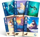 Borealis: Arctic Expeditions cards