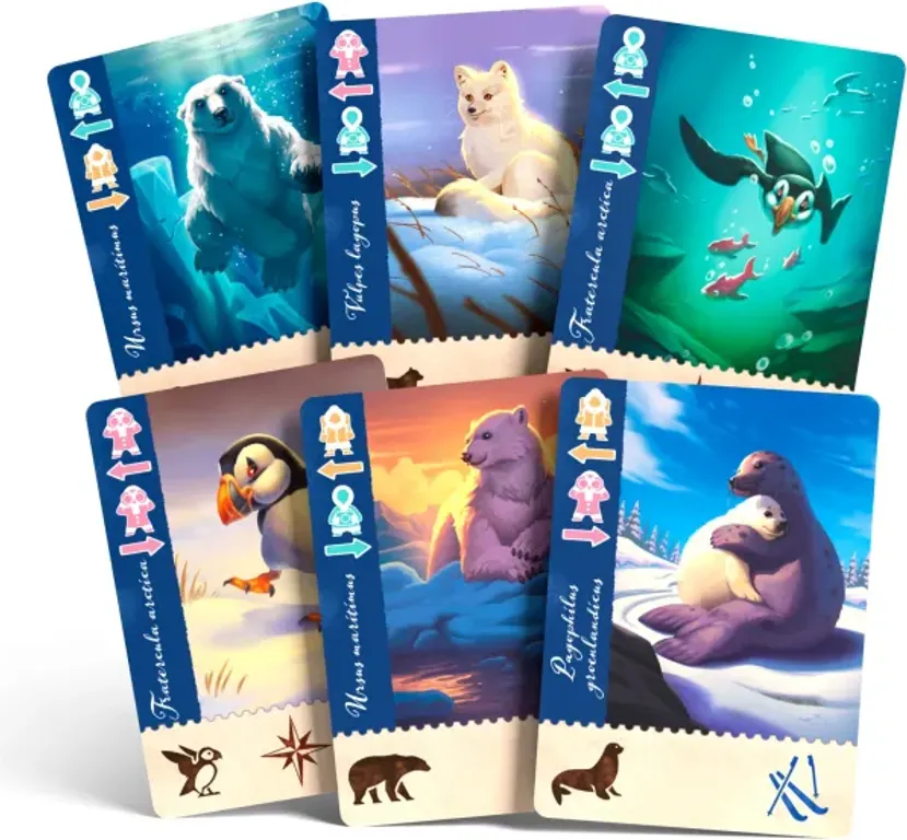 Borealis: Arctic Expeditions cards