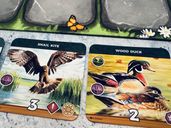 Keystone: North America – Second Edition carte