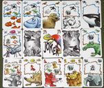 Enigma Jeu de Cartes Frank's Zoo cartes