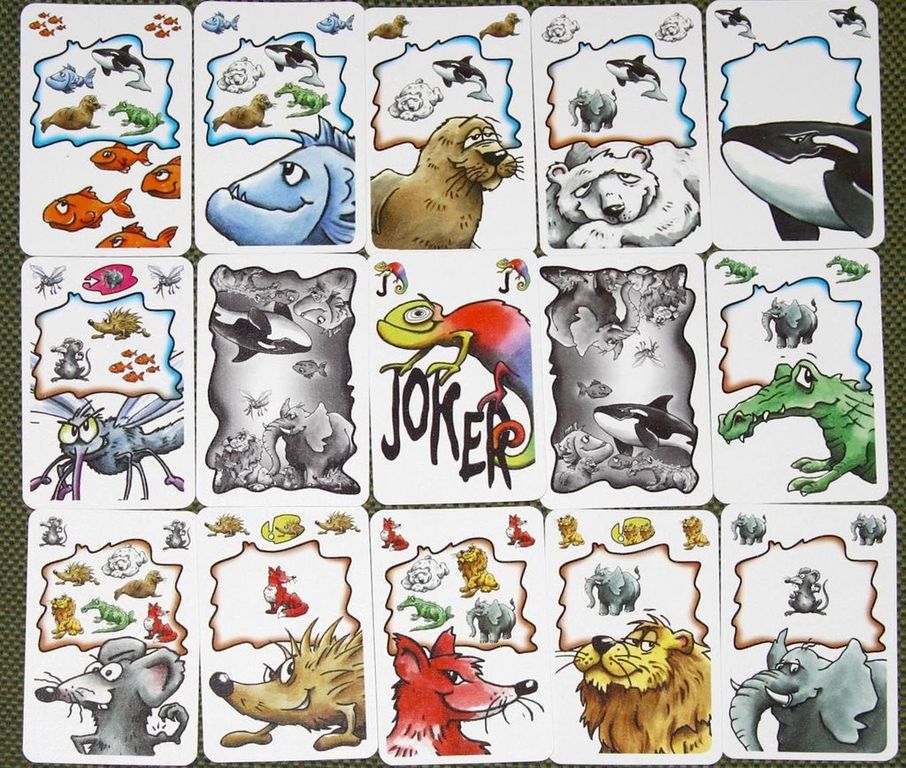 Enigma Jeu de Cartes Frank's Zoo cartes