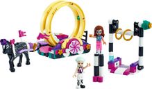 LEGO® Friends Acrobazie magiche componenti