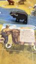 Wild: Serengeti – Animal Specialist Mini-Expansion speelwijze