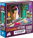 Exploding Kittens: Cat in the Mirror