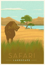 Safari