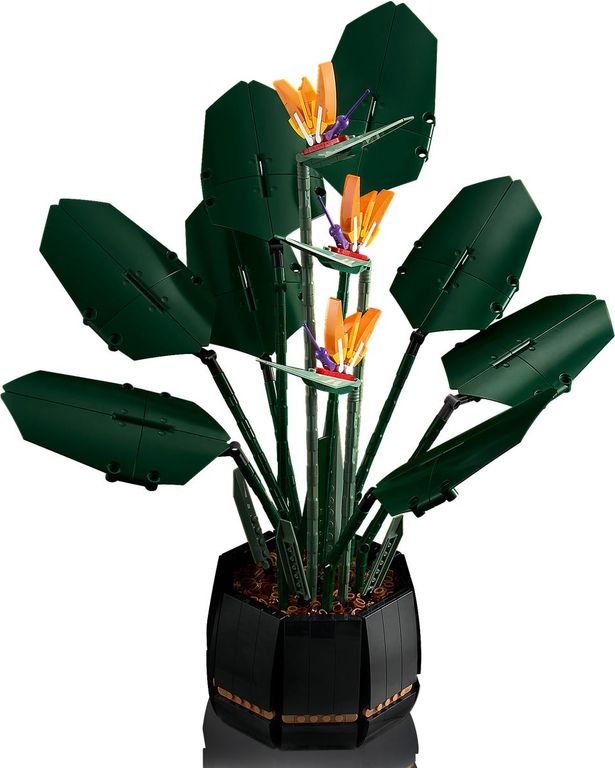 LEGO® Botanicals L’oiseau de paradis composants