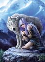 Anne Stokes: Protector