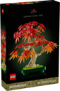 Bonsái de Arce Rojo Japonés