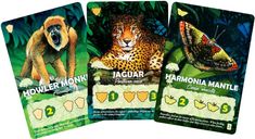 Canopy cards