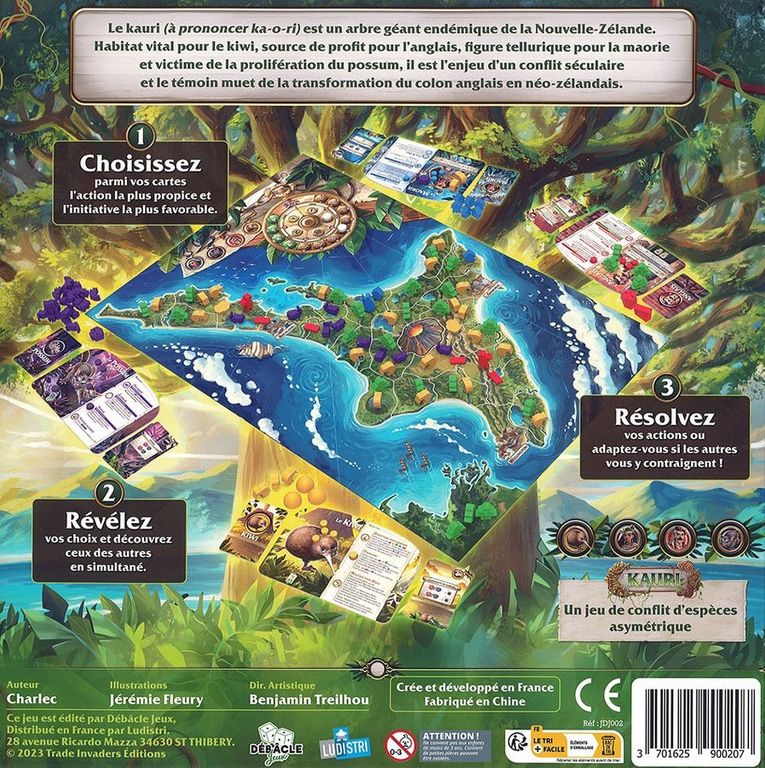 Kauri rückseite der box