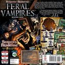 Shadows of Brimstone: Vampire Nest Mission Pack back of the box
