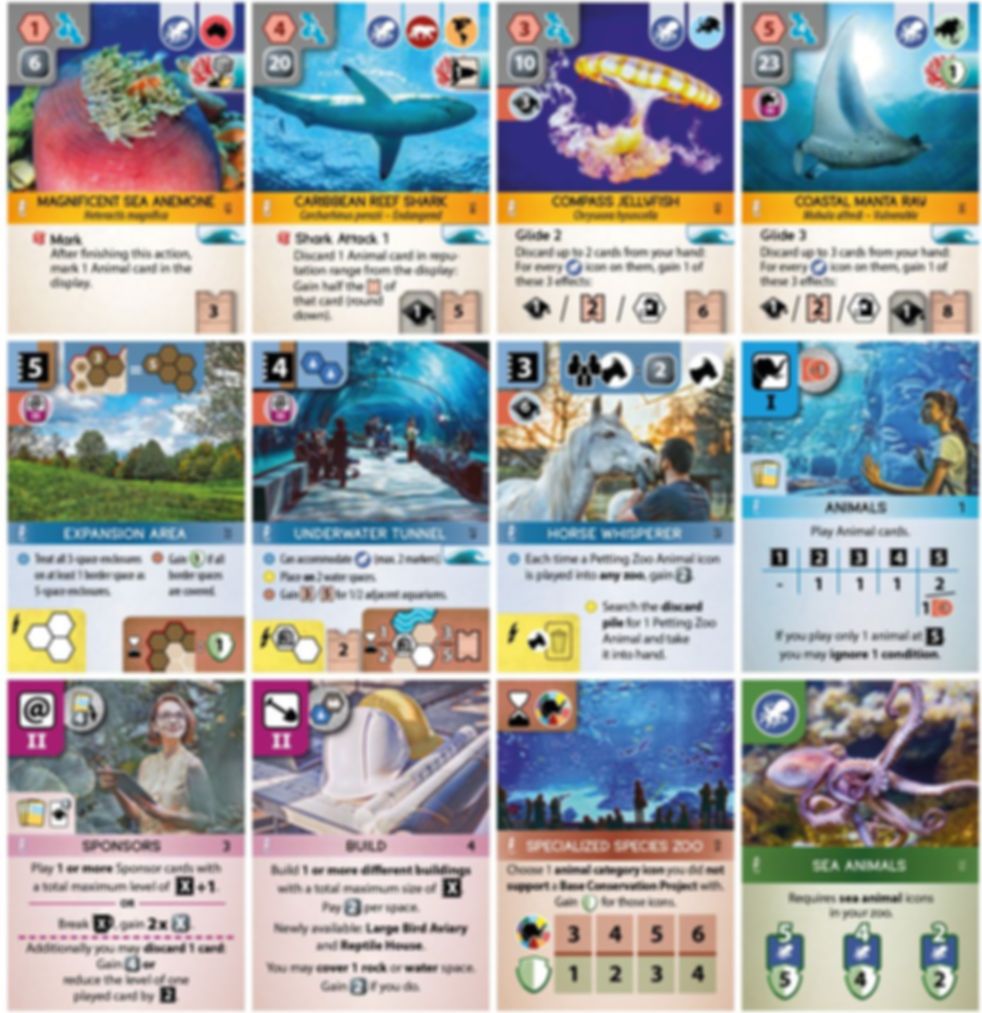 Ark Nova: Marine Worlds cards