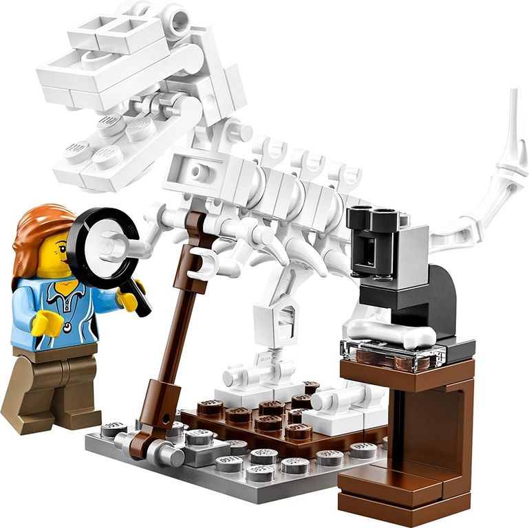 LEGO® Ideas Research Institute componenten