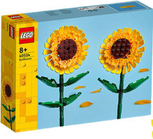 Girasoles
